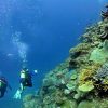 tour_img-208318-145_751x500