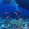tour_img-208319-145_751x500