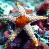 tour_img-208320-145_751x500