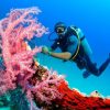 tour_img-208322-145_751x500