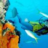 tour_img-208323-145_751x500