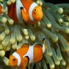 tour_img-832704-145_751x500