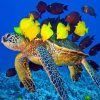 tour_img-832728-145_751x500