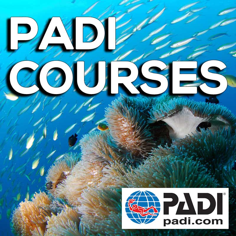 All-PADI-Courses